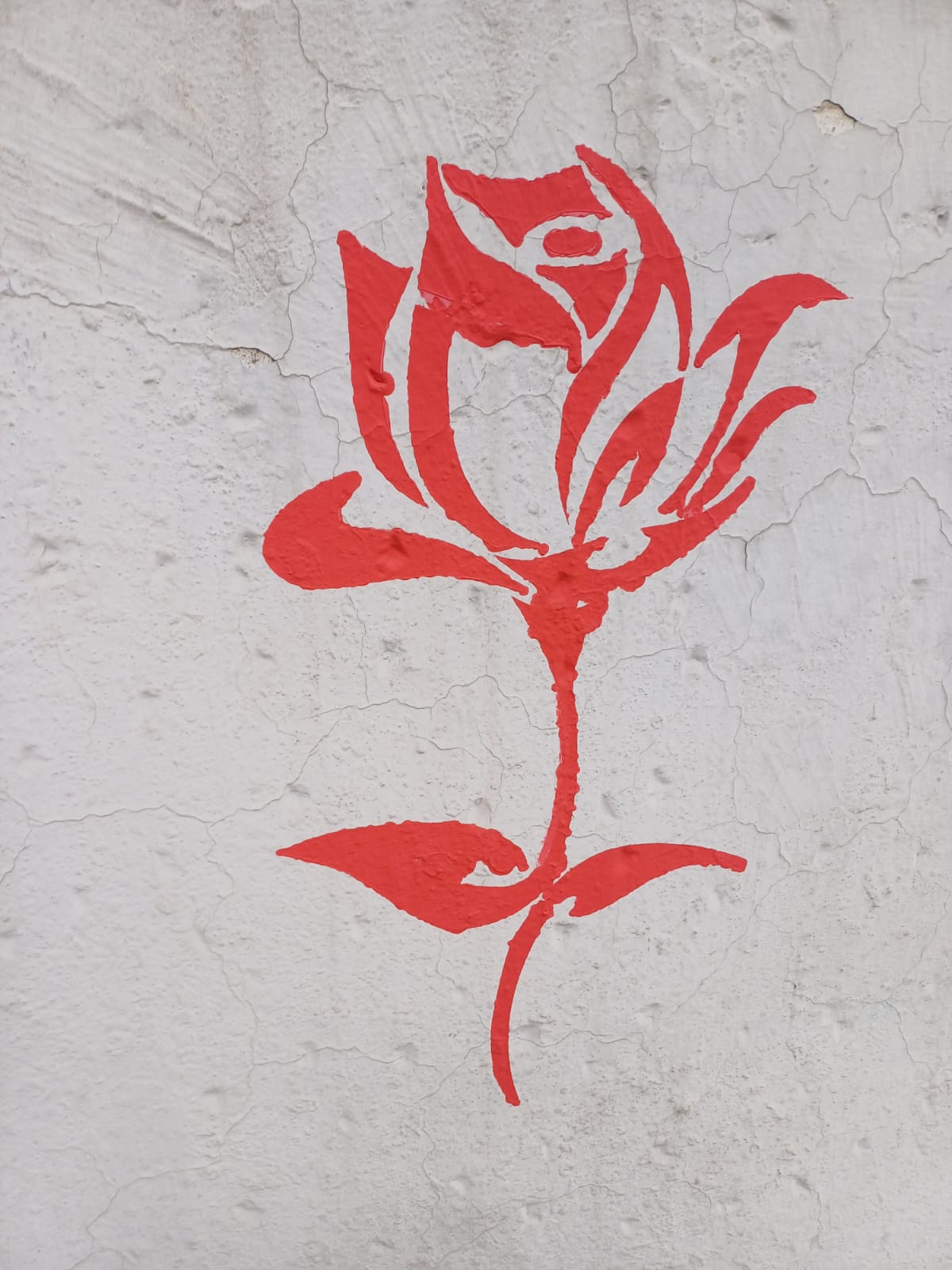 Swachhta Pakhwada 07.10.2024